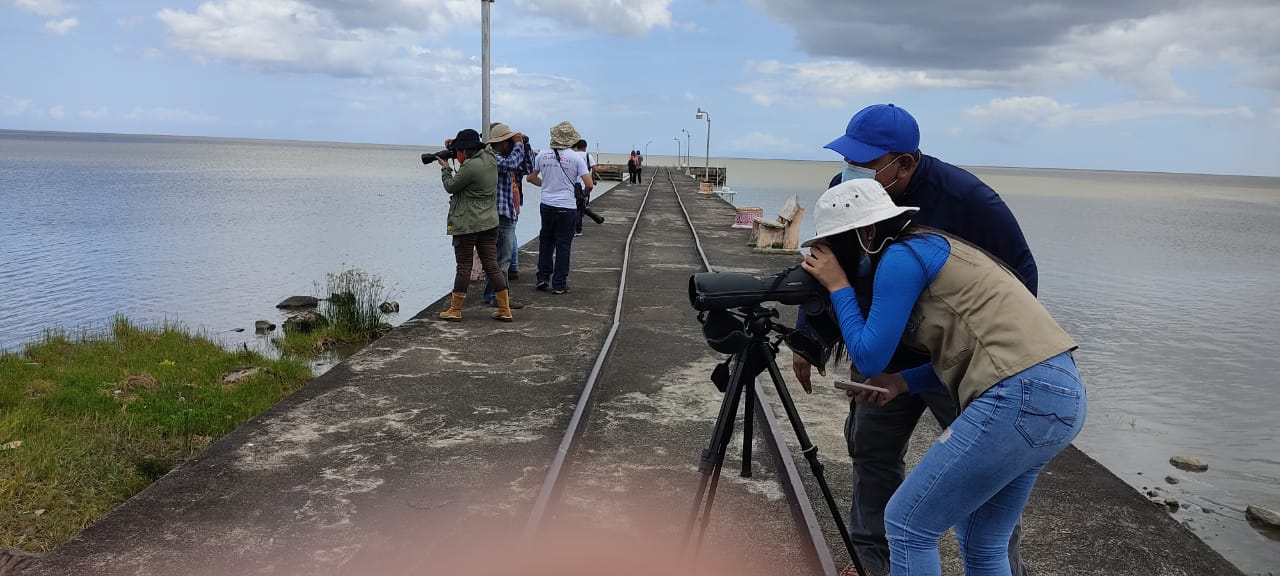 Rosario Murillo dijo que el país recibe a muchas personas turistas que vienen a ver aves.
