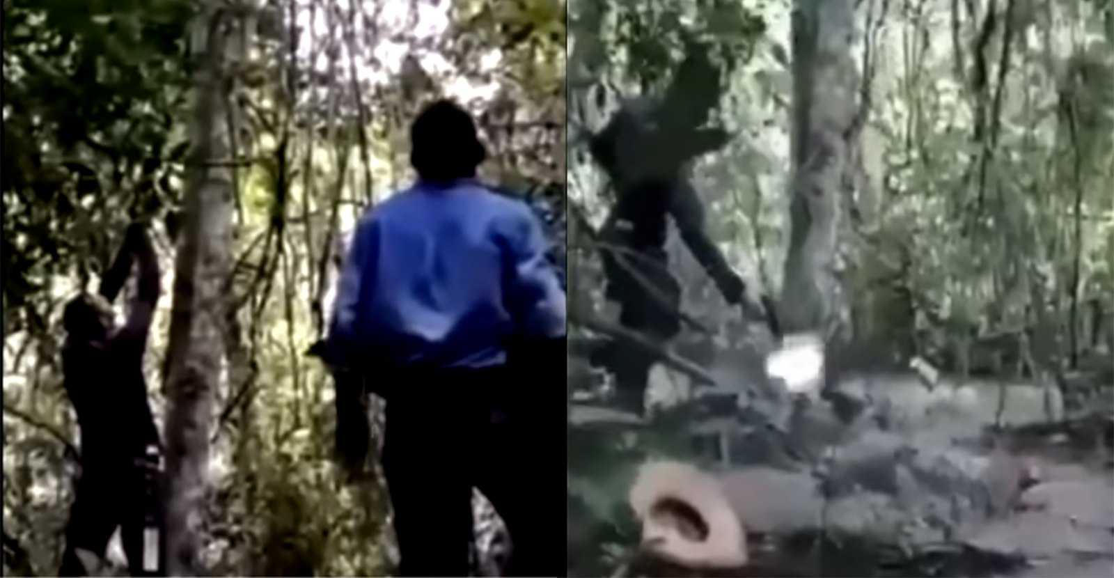 Captura de pantalla del video en donde cazan un jaguar. La imagen derecha muestra el momento cuando el cazador derriba al felino de un árbol y la imagen de la derecha cuando otro lo remeta con una pistola.