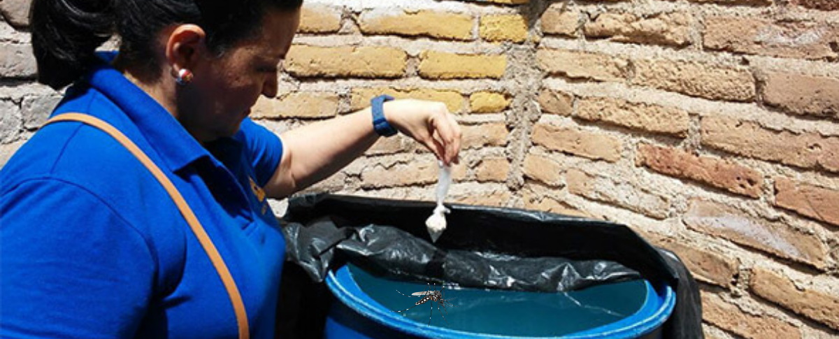 Eliminar criaderos de zancudos es la mejor forma de prevenir el dengue