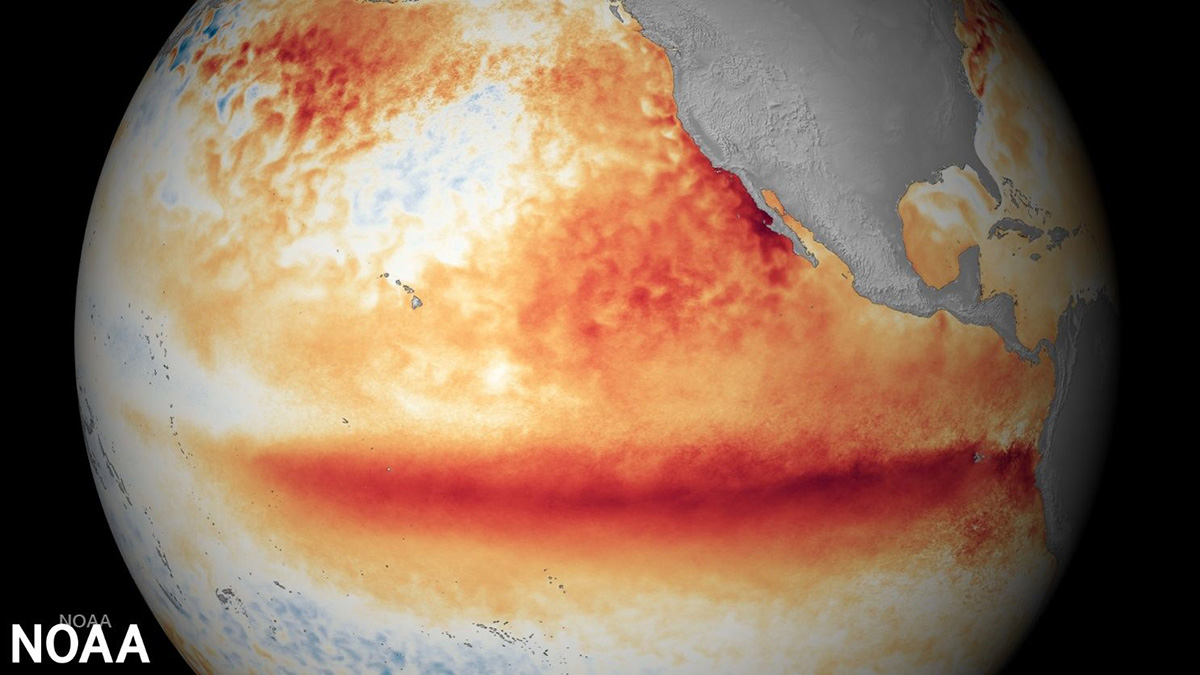 El fenómeno del Niño provoca un aumento en la temperatura del océano Pacífico.