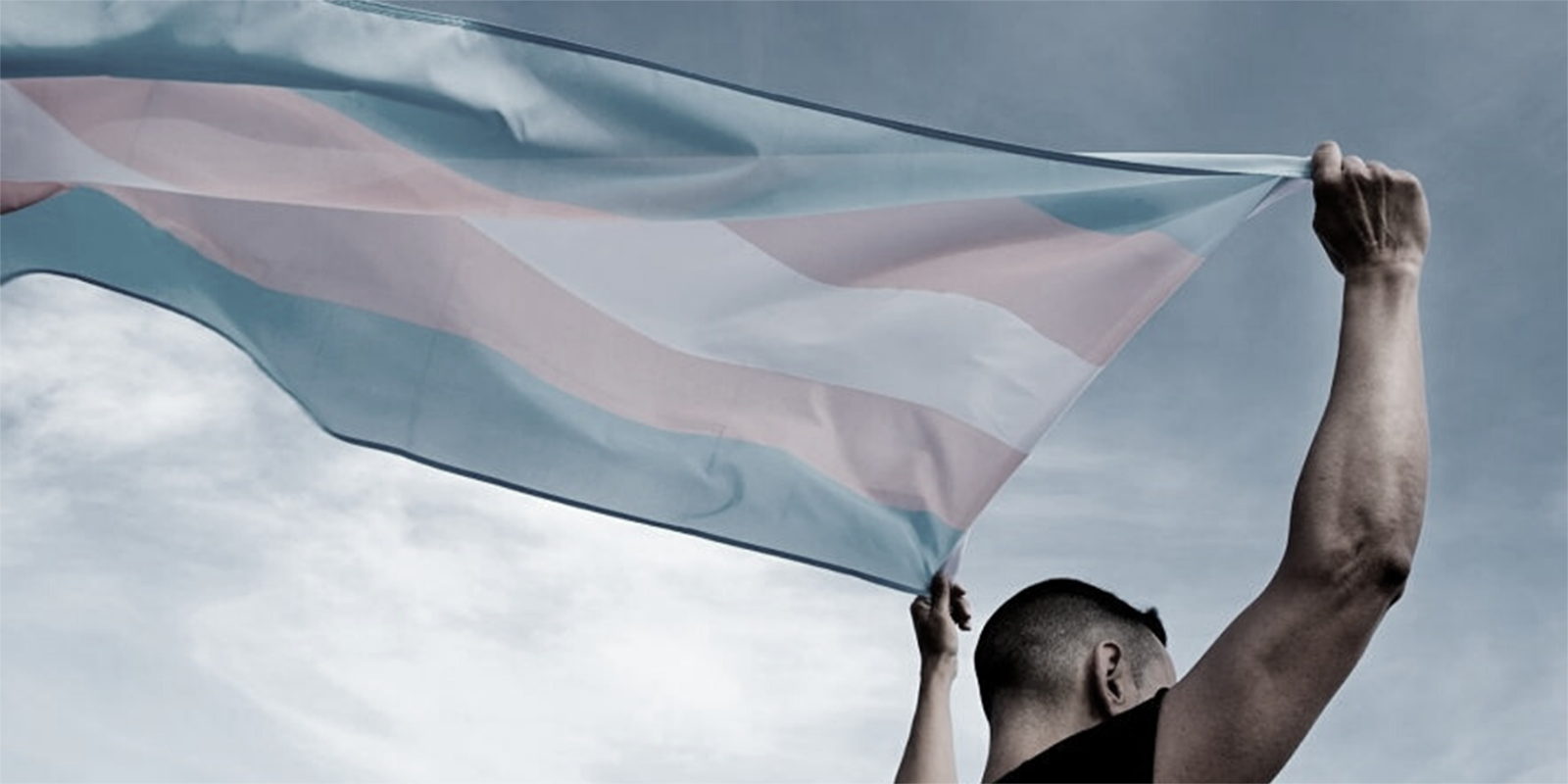 Visibilidad transgénero, concienciación y no discriminación