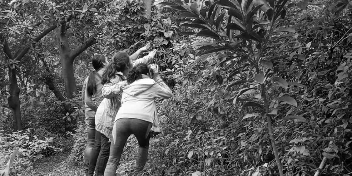 En Nicaragua crece la pasión por las aves