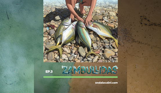 Métodos no selectivos de pesca vs pesca sostenible