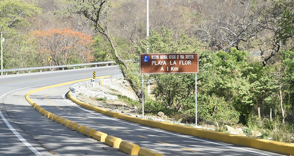 El primer tramo de la carretera atraviesa dos importantes áreas protegidas, una de ellas es el Refugio de Vida Silvestre La Flor el cual tiene una extensión de 7,349 hectáreas. Foto: Onda Local