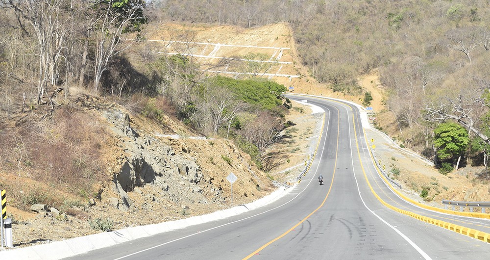 La pérdida de cobertura vegetal es otro de los daños al ambiente. De acuerdo a los Estudios de Impacto Ambiental se contabilizaron 44,798 árboles en el derecho de vía a lo largo de los tres primeros tramos de la carretera. Foto: Onda Local