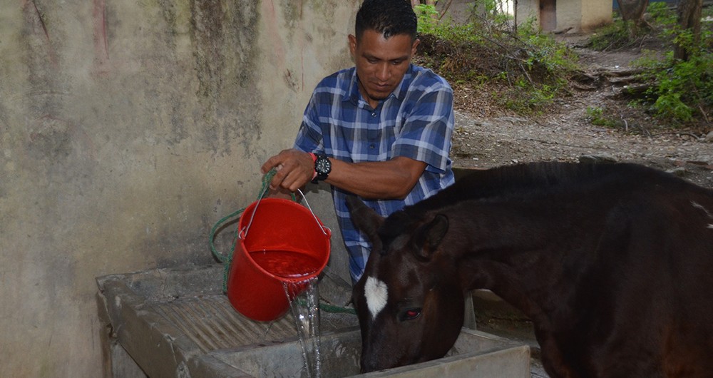 El agua es un derecho humano. Nicaragua es rica en recursos hídricos, pero en las zonas rurales las personas carecen de este recurso. En algunos hogares la fuentes de agua se comparten con los animales.