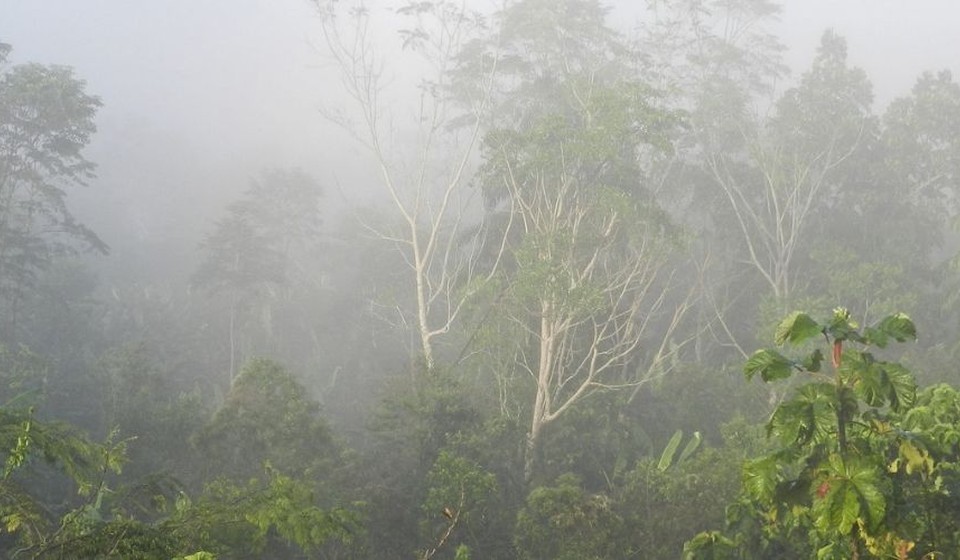  Desastre ambiental en la Amazonía
