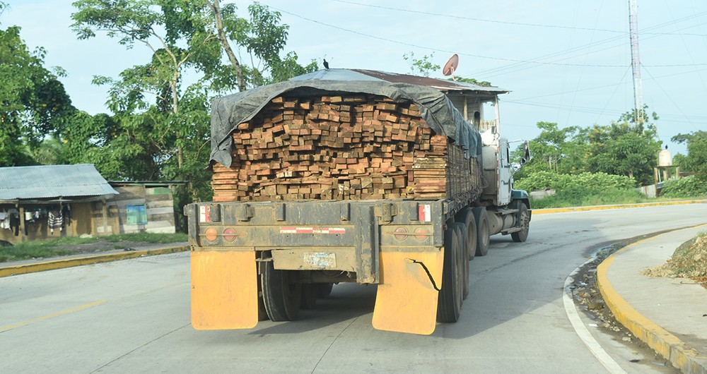 En abril de 2022, INTERPOL informó de la recuperación de 80 cargamentos de camiones de madera ilegal que provenía de los bosques de toda América Latina y el Caribe. El valor de la manera incautada se estimaba en unos 700 000 dólares.
