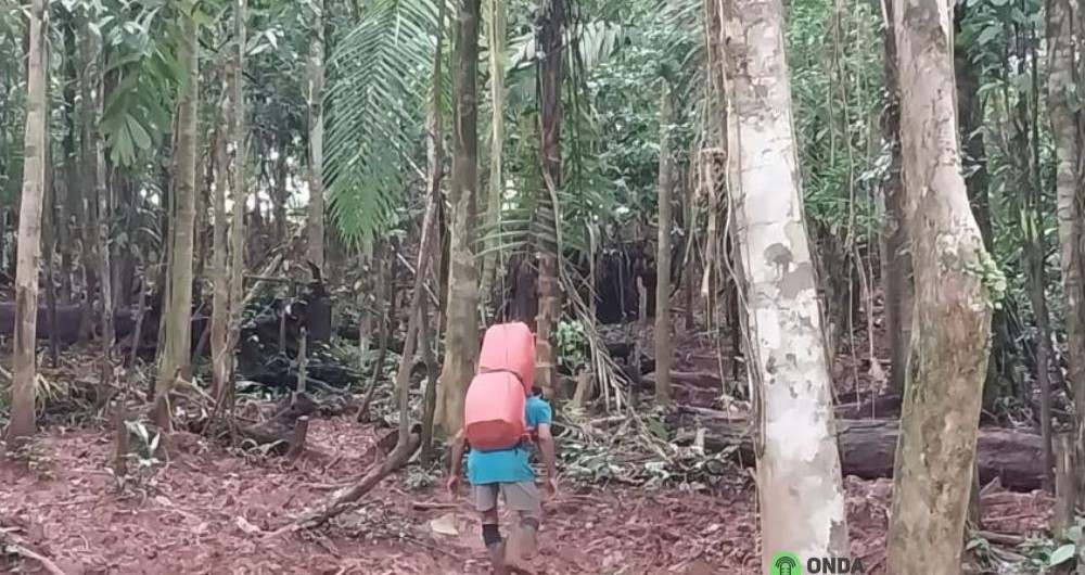 Para llegar a los campamentos mineros no hay un sendero. Las personas deben penetrar la espesa selva siguiendo los pasos mientras cargan productos que se comercializan en las minas.