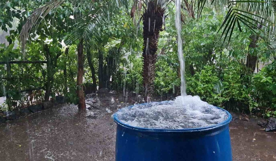  Comunidad rural de Léon enfrenta grave crisis de agua potable